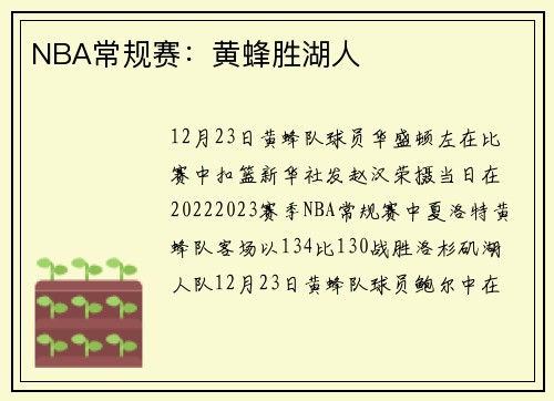 NBA常规赛：黄蜂胜湖人