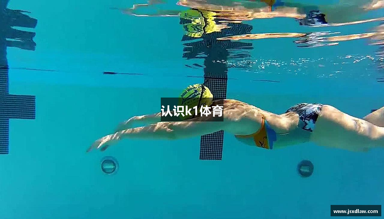 认识k1体育